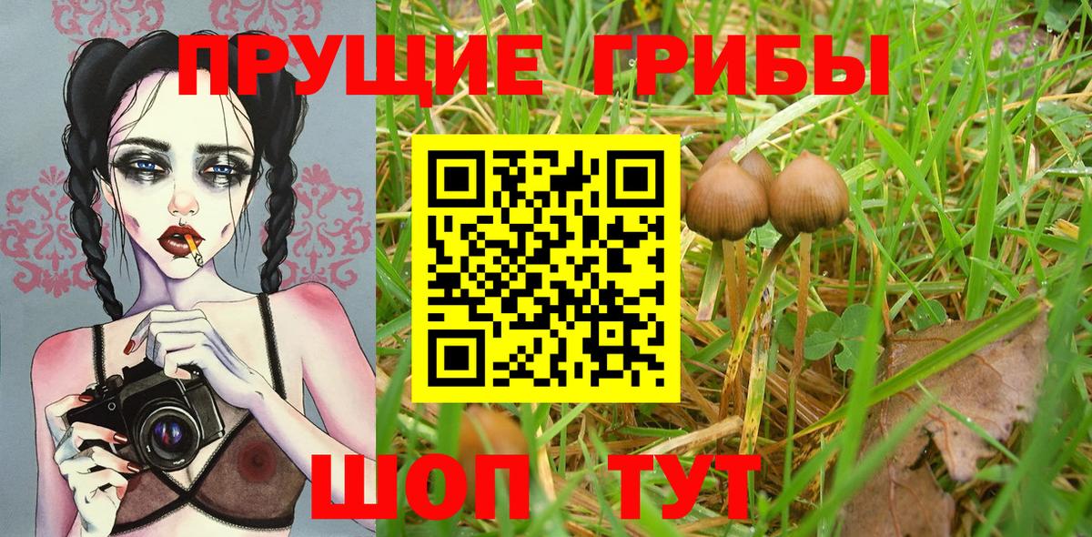 Псилоцибиновые грибы Magic Shrooms Новочебоксарск